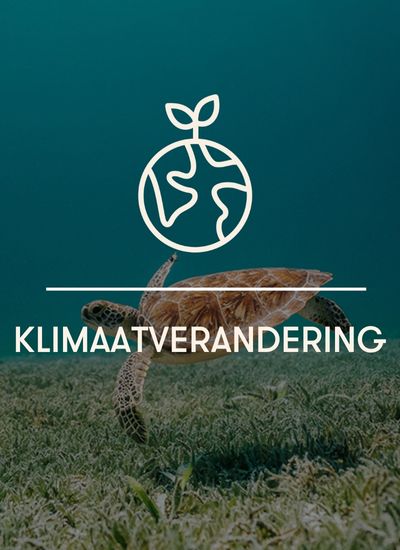Climate change single – dutch