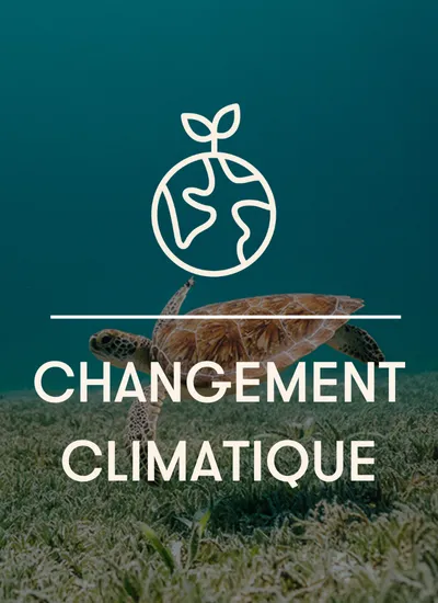 Climate Change – French