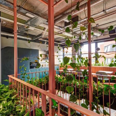 A modern office space with exposed ceilings, large windows, green plants hanging from pink railings, and an open seating area with desks and shelves in the background. Natural light fills the room.